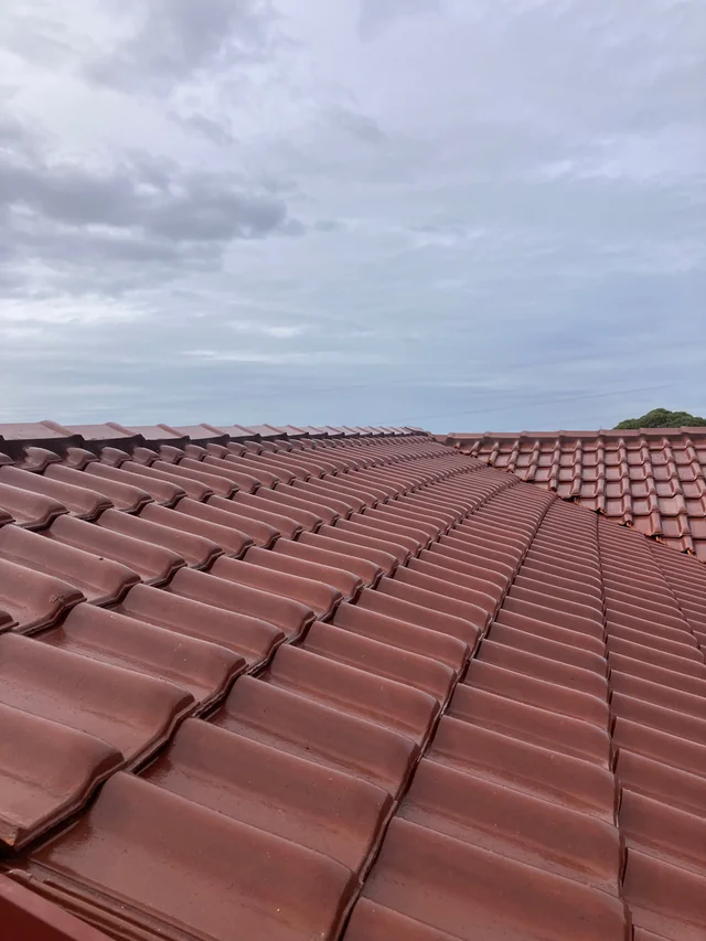 Close view across rows of red concrete roof tiles under an overcast sky.